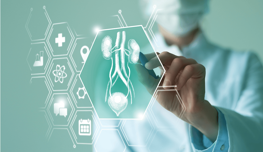 What Is a Kidney Transplant?
